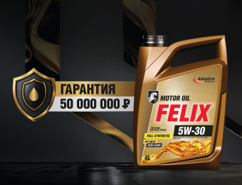 Изображение для записи FELIX - ваше спокойствие застраховано!